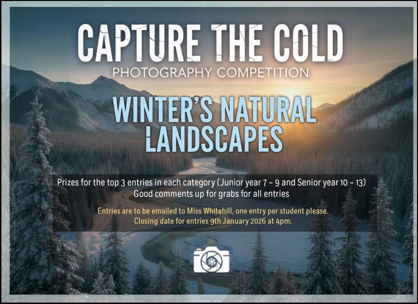Capture the Cold Competition Winners
