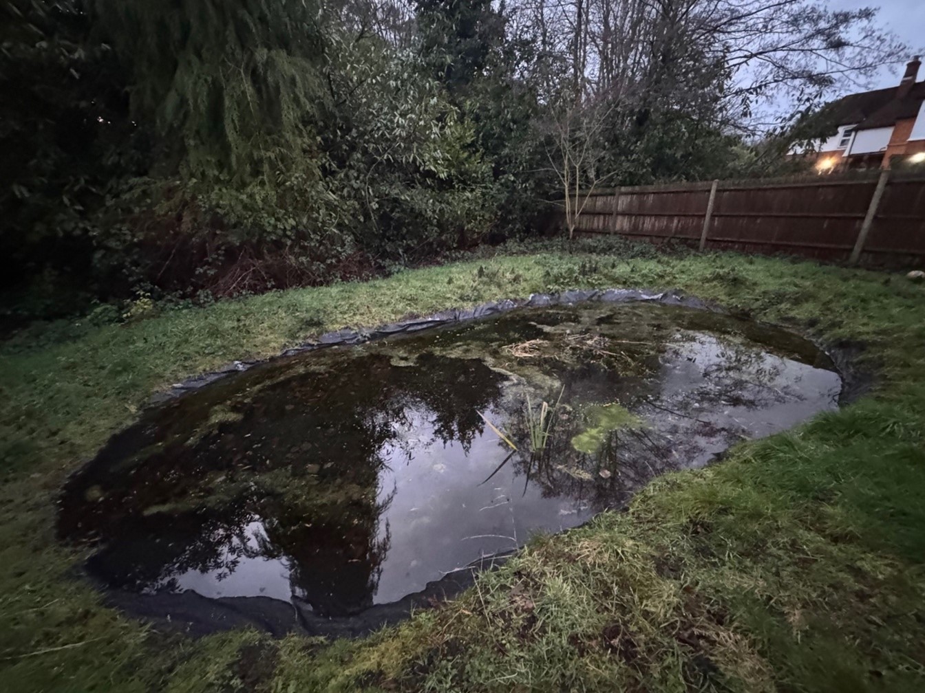 G-Eco:  Turning Ideas into Action